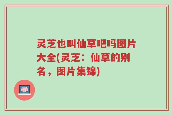 灵芝也叫仙草吧吗图片大全(灵芝:仙草的别名,图片集锦)-第1张图片-超越 灵芝也叫仙草吧吗图片大全(灵芝:仙草的别名,图片集锦)-第1张图片-超越