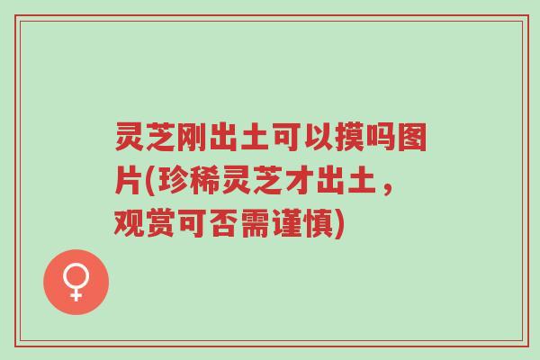 灵芝刚出土可以摸吗图片(珍稀灵芝才出土,观赏可否需谨慎)-第1张图片-超越 灵芝刚出土可以摸吗图片(珍稀灵芝才出土,观赏可否需谨慎)-第1张图片-超越