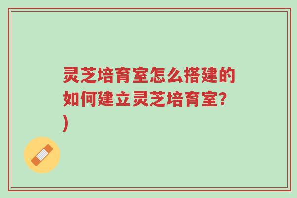 灵芝培育室怎么搭建的如何建立灵芝培育室?)-第1张图片-超越 灵芝培育室怎么搭建的如何建立灵芝培育室?)-第1张图片-超越