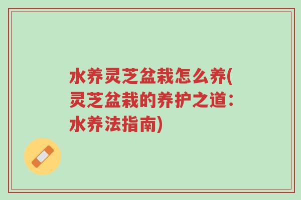 水养灵芝盆栽怎么养(灵芝盆栽的养护之道:水养法指南)-第1张图片-超越 水养灵芝盆栽怎么养(灵芝盆栽的养护之道:水养法指南)-第1张图片-超越
