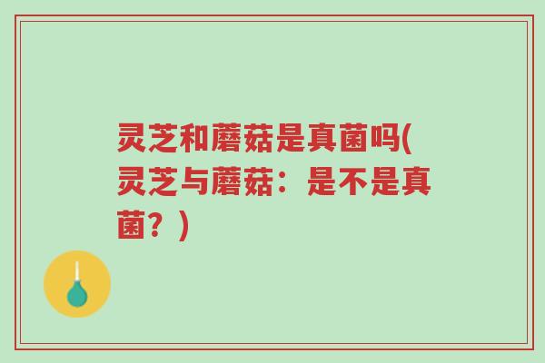 灵芝和蘑菇是真菌吗(灵芝与蘑菇:是不是真菌?)-第1张图片-超越 灵芝和蘑菇是真菌吗(灵芝与蘑菇:是不是真菌?)-第1张图片-超越