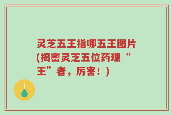 灵芝五王指哪五王图片(揭密灵芝五位药理“王”者,厉害!)-第1张图片-超越 灵芝五王指哪五王图片(揭密灵芝五位药理“王”者,厉害!)-第1张图片-超越