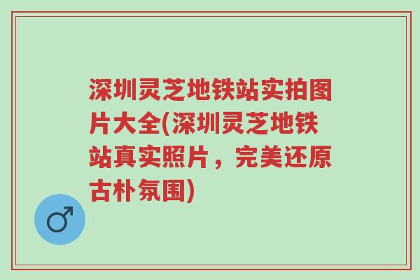 深圳灵芝地铁站实拍图片大全(深圳灵芝地铁站真实照片,完美还原古朴氛围)-第1张图片-超越 深圳灵芝地铁站实拍图片大全(深圳灵芝地铁站真实照片,完美还原古朴氛围)-第1张图片-超越
