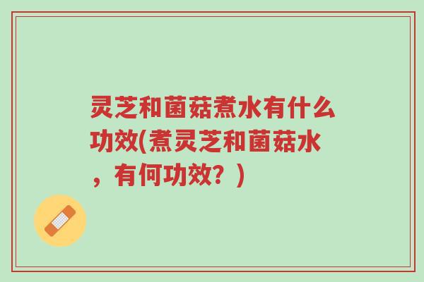 灵芝和菌菇煮水有什么功效(煮灵芝和菌菇水,有何功效?)-第1张图片-超越 灵芝和菌菇煮水有什么功效(煮灵芝和菌菇水,有何功效?)-第1张图片-超越