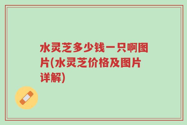 水灵芝多少钱一只啊图片(水灵芝价格及图片详解)-第1张图片-超越