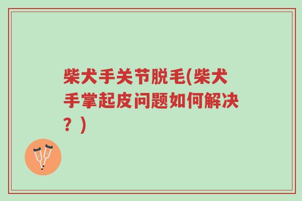 柴犬手关节脱毛(柴犬手掌起皮问题如何解决？)-第1张图片-超越