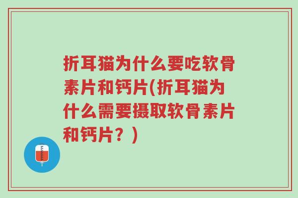 折耳猫为什么要吃软骨素片和钙片(折耳猫为什么需要摄取软骨素片和钙片?)-第1张图片-超越 折耳猫为什么要吃软骨素片和钙片(折耳猫为什么需要摄取软骨素片和钙片?)-第1张图片-超越