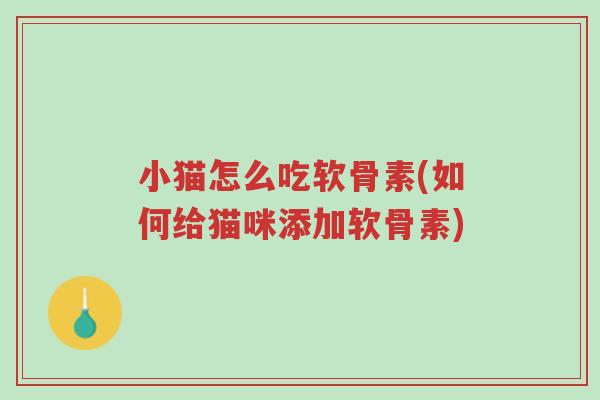 小猫怎么吃软骨素(如何给猫咪添加软骨素)-第1张图片-超越 小猫怎么吃软骨素(如何给猫咪添加软骨素)-第1张图片-超越
