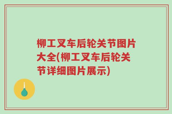 柳工叉车后轮关节图片大全(柳工叉车后轮关节详细图片展示)-第1张图片-超越 柳工叉车后轮关节图片大全(柳工叉车后轮关节详细图片展示)-第1张图片-超越