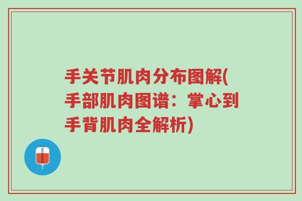 手关节肌肉分布图解(手部肌肉图谱：掌心到手背肌肉全解析)-第1张图片-超越