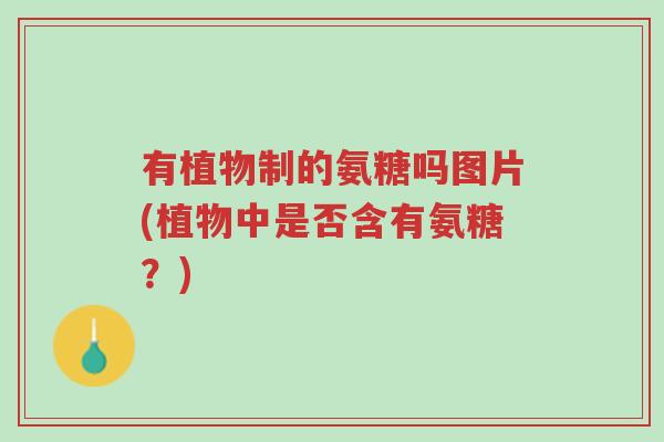 有植物制的氨糖吗图片(植物中是否含有氨糖?)-第1张图片-超越 有植物制的氨糖吗图片(植物中是否含有氨糖?)-第1张图片-超越