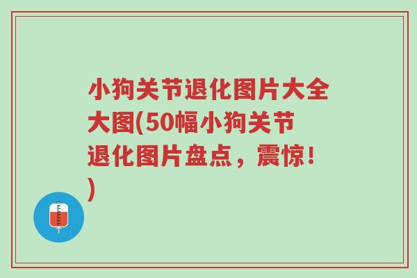 小狗关节退化图片大全大图(50幅小狗关节退化图片盘点,震惊!)-第1张图片-超越 小狗关节退化图片大全大图(50幅小狗关节退化图片盘点,震惊!)-第1张图片-超越