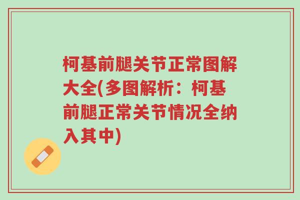 柯基前腿关节正常图解大全(多图解析:柯基前腿正常关节情况全纳入其中)-第1张图片-超越 柯基前腿关节正常图解大全(多图解析:柯基前腿正常关节情况全纳入其中)-第1张图片-超越