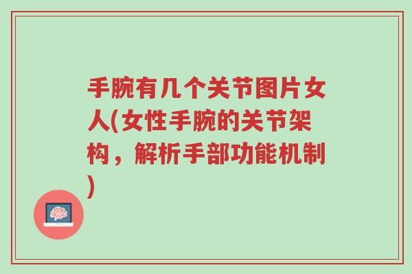 手腕有几个关节图片女人(女性手腕的关节架构,解析手部功能机制)-第1张图片-超越 手腕有几个关节图片女人(女性手腕的关节架构,解析手部功能机制)-第1张图片-超越