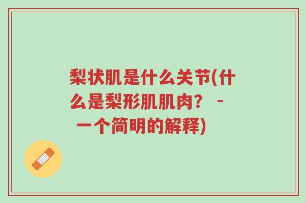 梨状肌是什么关节(什么是梨形肌肌肉? - 一个简明的解释)-第1张图片-超越 梨状肌是什么关节(什么是梨形肌肌肉? - 一个简明的解释)-第1张图片-超越