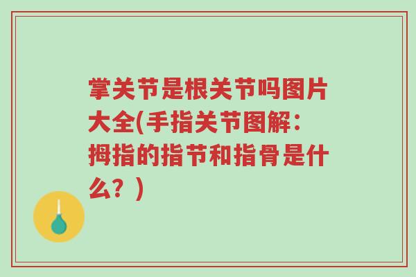 掌关节是根关节吗图片大全(手指关节图解:拇指的指节和指骨是什么?)-第1张图片-超越 掌关节是根关节吗图片大全(手指关节图解:拇指的指节和指骨是什么?)-第1张图片-超越