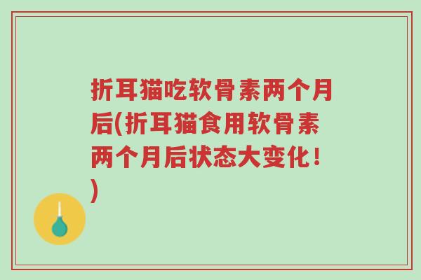 折耳猫吃软骨素两个月后(折耳猫食用软骨素两个月后状态大变化!)-第1张图片-超越 折耳猫吃软骨素两个月后(折耳猫食用软骨素两个月后状态大变化!)-第1张图片-超越