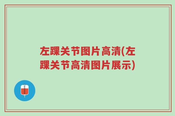 左踝关节图片高清(左踝关节高清图片展示)-第1张图片-超越 左踝关节图片高清(左踝关节高清图片展示)-第1张图片-超越