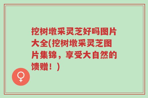 挖树墩采灵芝好吗图片大全(挖树墩采灵芝图片集锦,享受大自然的馈赠!)-第1张图片-超越 挖树墩采灵芝好吗图片大全(挖树墩采灵芝图片集锦,享受大自然的馈赠!)-第1张图片-超越