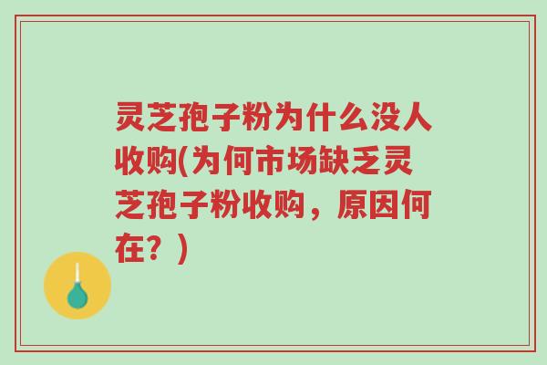灵芝孢子粉为什么没人收购(为何市场缺乏灵芝孢子粉收购,原因何在?)-第1张图片-超越 灵芝孢子粉为什么没人收购(为何市场缺乏灵芝孢子粉收购,原因何在?)-第1张图片-超越