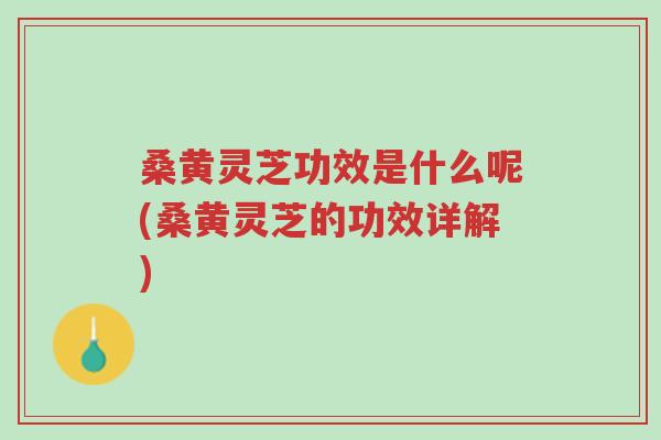 桑黄灵芝功效是什么呢(桑黄灵芝的功效详解)-第1张图片-超越 桑黄灵芝功效是什么呢(桑黄灵芝的功效详解)-第1张图片-超越