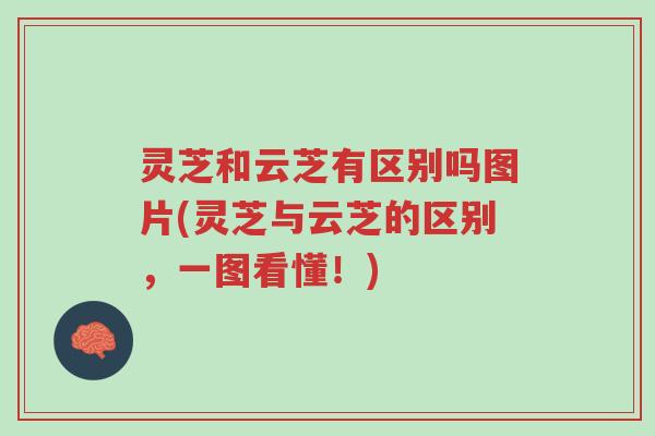 灵芝和云芝有区别吗图片(灵芝与云芝的区别，一图看懂！)-第1张图片-超越