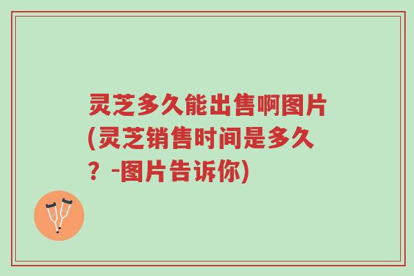 灵芝多久能出售啊图片(灵芝销售时间是多久?-图片告诉你)-第1张图片-超越 灵芝多久能出售啊图片(灵芝销售时间是多久?-图片告诉你)-第1张图片-超越