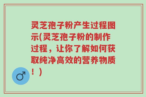 灵芝孢子粉产生过程图示(灵芝孢子粉的制作过程,让你了解如何获取纯净高效的营养物质!)-第1张图片-超越 灵芝孢子粉产生过程图示(灵芝孢子粉的制作过程,让你了解如何获取纯净高效的营养物质!)-第1张图片-超越