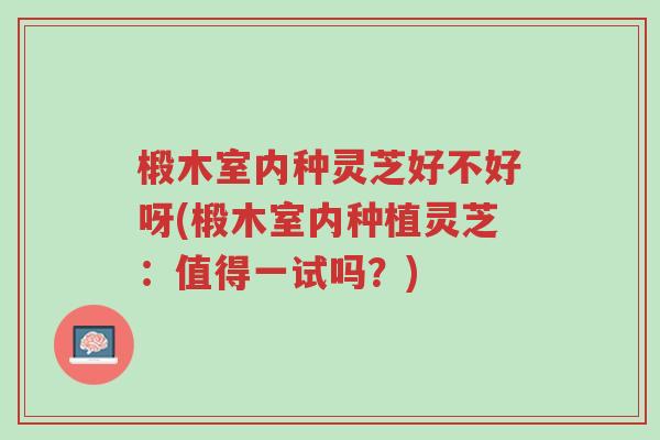 椴木室内种灵芝好不好呀(椴木室内种植灵芝:值得一试吗?)-第1张图片-超越 椴木室内种灵芝好不好呀(椴木室内种植灵芝:值得一试吗?)-第1张图片-超越