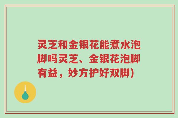 灵芝和金银花能煮水泡脚吗灵芝、金银花泡脚有益,妙方护好双脚)-第1张图片-超越 灵芝和金银花能煮水泡脚吗灵芝、金银花泡脚有益,妙方护好双脚)-第1张图片-超越