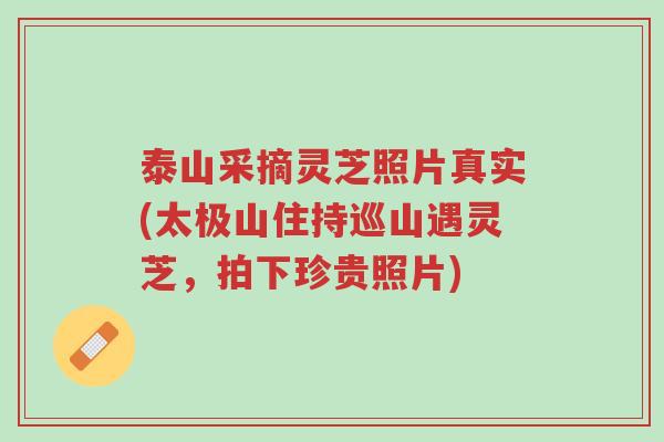 泰山采摘灵芝照片真实(太极山住持巡山遇灵芝,拍下珍贵照片)-第1张图片-超越 泰山采摘灵芝照片真实(太极山住持巡山遇灵芝,拍下珍贵照片)-第1张图片-超越