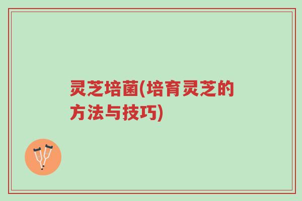 灵芝培菌(培育灵芝的方法与技巧)-第1张图片-超越 灵芝培菌(培育灵芝的方法与技巧)-第1张图片-超越