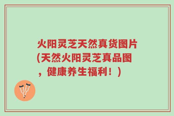 火阳灵芝天然真货图片(天然火阳灵芝真品图,健康养生福利!)-第1张图片-超越 火阳灵芝天然真货图片(天然火阳灵芝真品图,健康养生福利!)-第1张图片-超越