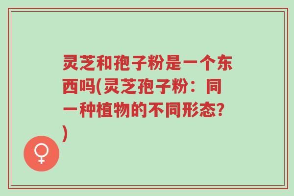 灵芝和孢子粉是一个东西吗(灵芝孢子粉:同一种植物的不同形态?)-第1张图片-超越 灵芝和孢子粉是一个东西吗(灵芝孢子粉:同一种植物的不同形态?)-第1张图片-超越