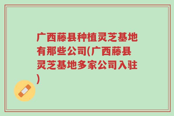广西藤县种植灵芝基地有那些公司(广西藤县灵芝基地多家公司入驻)-第1张图片-超越 广西藤县种植灵芝基地有那些公司(广西藤县灵芝基地多家公司入驻)-第1张图片-超越