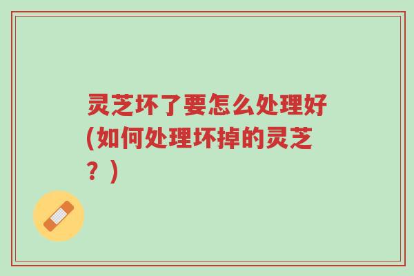 灵芝坏了要怎么处理好(如何处理坏掉的灵芝？)-第1张图片-超越
