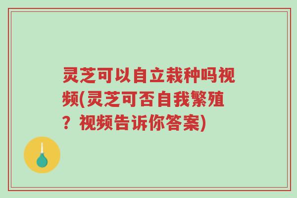 灵芝可以自立栽种吗视频(灵芝可否自我繁殖?视频告诉你答案)-第1张图片-超越 灵芝可以自立栽种吗视频(灵芝可否自我繁殖?视频告诉你答案)-第1张图片-超越