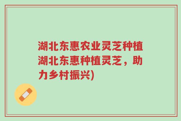 湖北东惠农业灵芝种植湖北东惠种植灵芝,助力乡村振兴)-第1张图片-超越 湖北东惠农业灵芝种植湖北东惠种植灵芝,助力乡村振兴)-第1张图片-超越