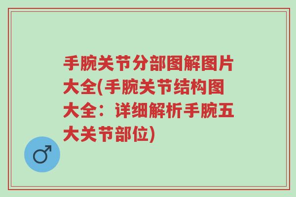 手腕关节分部图解图片大全(手腕关节结构图大全:详细解析手腕五大关节部位)-第1张图片-超越 手腕关节分部图解图片大全(手腕关节结构图大全:详细解析手腕五大关节部位)-第1张图片-超越