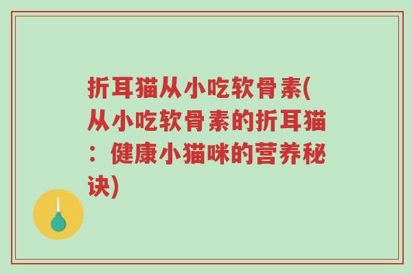 折耳猫从小吃软骨素(从小吃软骨素的折耳猫:健康小猫咪的营养秘诀)-第1张图片-超越 折耳猫从小吃软骨素(从小吃软骨素的折耳猫:健康小猫咪的营养秘诀)-第1张图片-超越