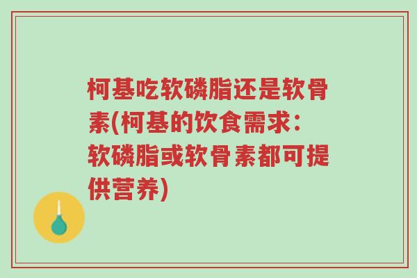 柯基吃软磷脂还是软骨素(柯基的饮食需求:软磷脂或软骨素都可提供营养)-第1张图片-超越 柯基吃软磷脂还是软骨素(柯基的饮食需求:软磷脂或软骨素都可提供营养)-第1张图片-超越