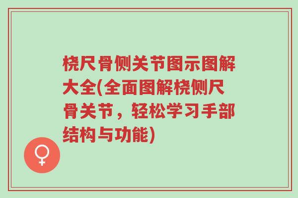 桡尺骨侧关节图示图解大全(全面图解桡侧尺骨关节，轻松学习手部结构与功能)-第1张图片-超越