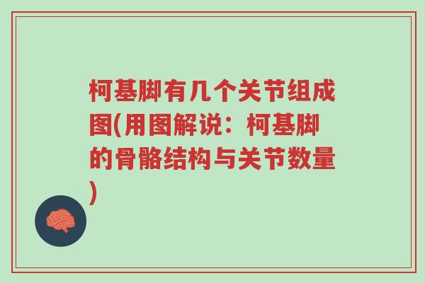 柯基脚有几个关节组成图(用图解说:柯基脚的骨骼结构与关节数量)-第1张图片-超越 柯基脚有几个关节组成图(用图解说:柯基脚的骨骼结构与关节数量)-第1张图片-超越