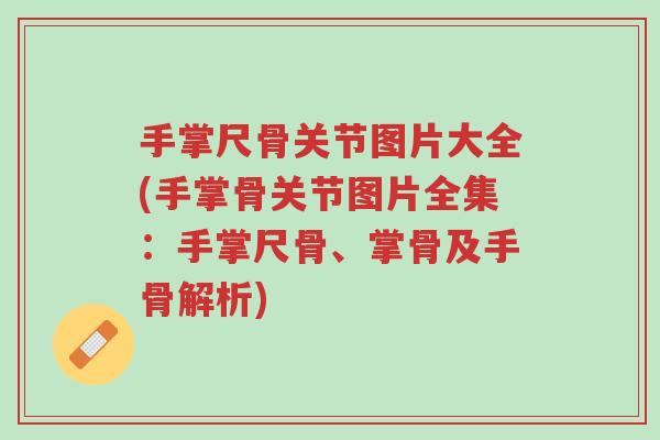 手掌尺骨关节图片大全(手掌骨关节图片全集:手掌尺骨、掌骨及手骨解析)-第1张图片-超越 手掌尺骨关节图片大全(手掌骨关节图片全集:手掌尺骨、掌骨及手骨解析)-第1张图片-超越