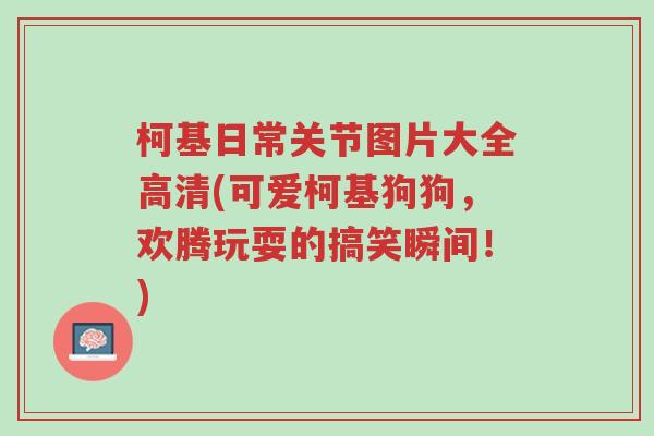 柯基日常关节图片大全高清(可爱柯基狗狗，欢腾玩耍的搞笑瞬间！)-第1张图片-超越