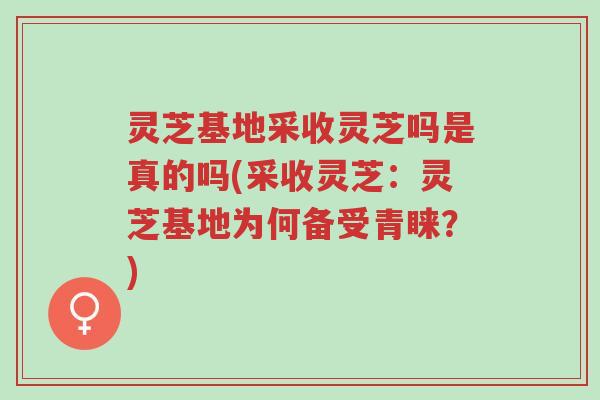 灵芝基地采收灵芝吗是真的吗(采收灵芝:灵芝基地为何备受青睐?)-第1张图片-超越 灵芝基地采收灵芝吗是真的吗(采收灵芝:灵芝基地为何备受青睐?)-第1张图片-超越