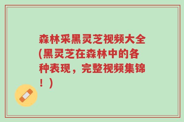 森林采黑灵芝视频大全(黑灵芝在森林中的各种表现,完整视频集锦!)-第1张图片-超越 森林采黑灵芝视频大全(黑灵芝在森林中的各种表现,完整视频集锦!)-第1张图片-超越