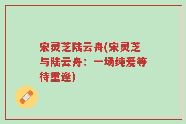 宋灵芝陆云舟(宋灵芝与陆云舟：一场纯爱等待重逢)-第1张图片-超越