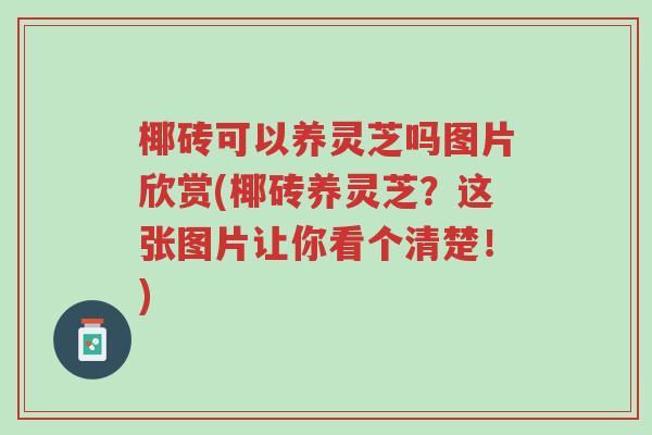 椰砖可以养灵芝吗图片欣赏(椰砖养灵芝?这张图片让你看个清楚!)-第1张图片-超越 椰砖可以养灵芝吗图片欣赏(椰砖养灵芝?这张图片让你看个清楚!)-第1张图片-超越