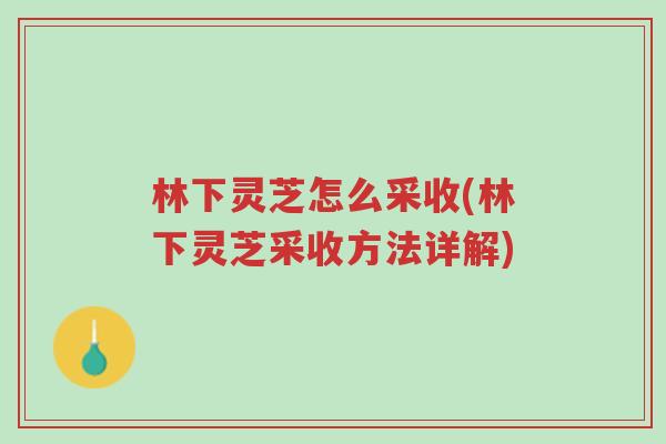 林下灵芝怎么采收(林下灵芝采收方法详解)-第1张图片-超越 林下灵芝怎么采收(林下灵芝采收方法详解)-第1张图片-超越